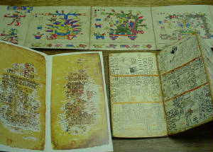 codices.jpg